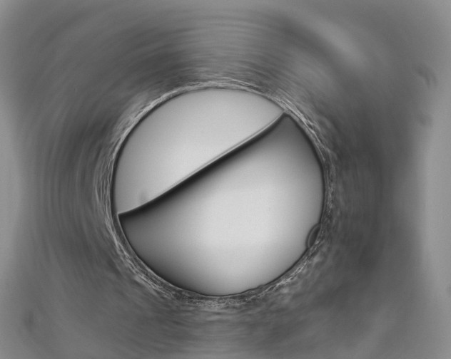 X0000112930241200908241100