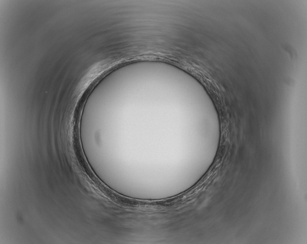 X0000112930242200908241100