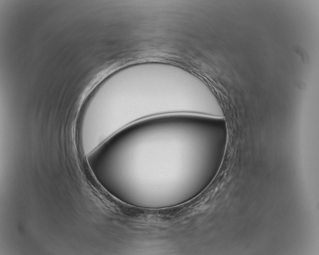 X0000112930244200908241100
