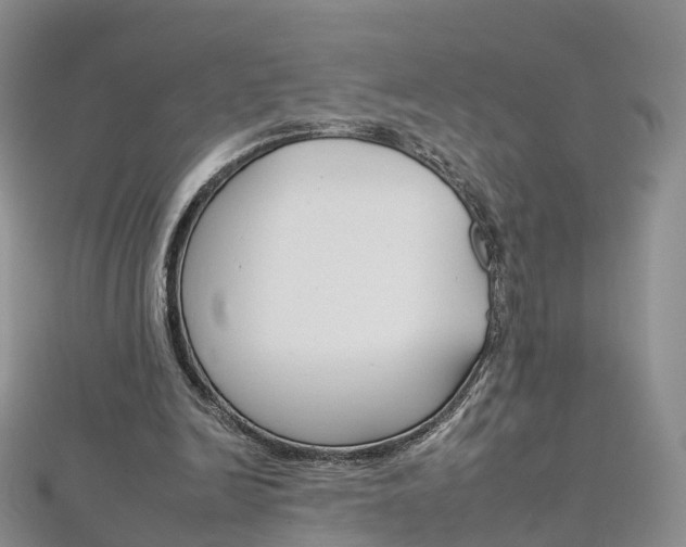 X0000112930246200908241100
