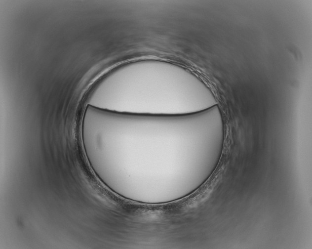 X0000112930247200908241100