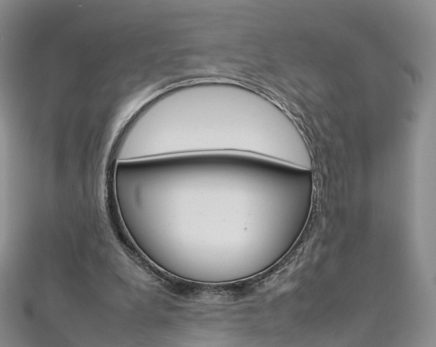 X0000112930248200908241100