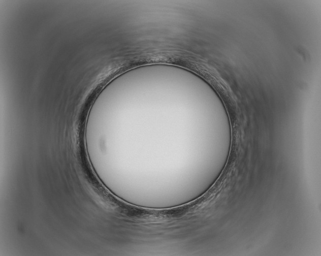 X0000112930250200908241100