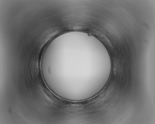 X0000112930251200908241100