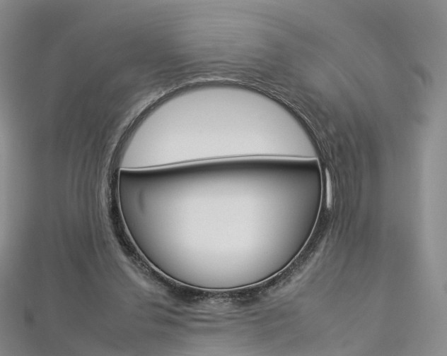 X0000112930252200908241100