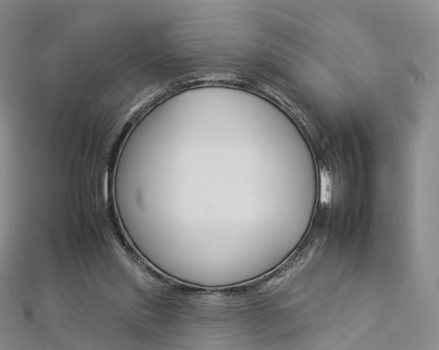 X0000112930253200908241100