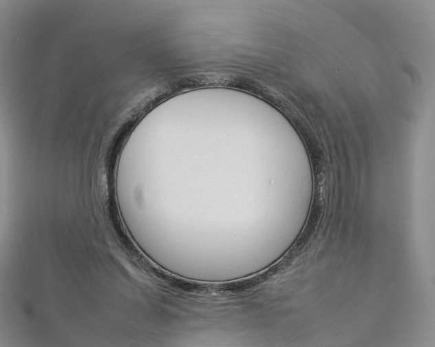 X0000112930254200908241100