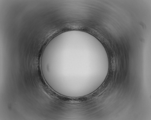 X0000112930255200908241100