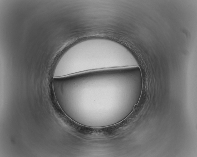 X0000112930256200908241100