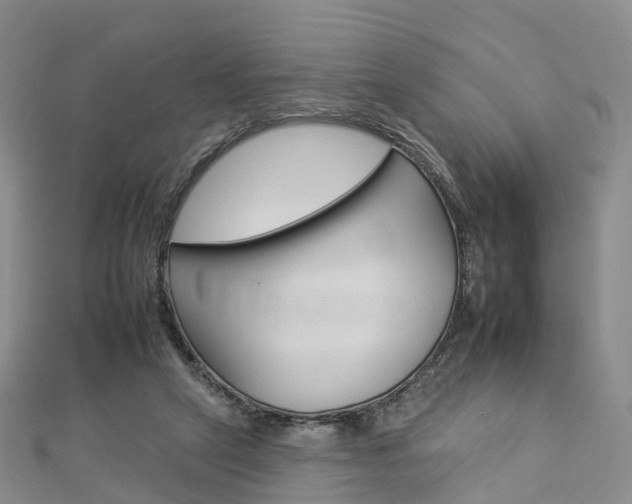X0000112930257200908241100
