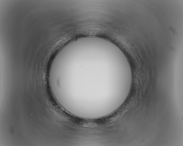 X0000112930258200908241101
