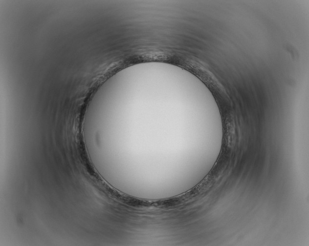 X0000112930259200908241101