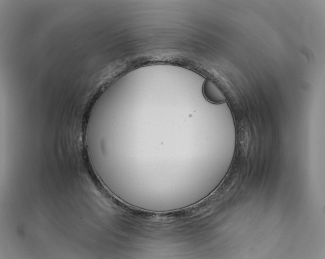 X0000112930261200908241101