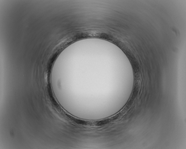 X0000112930262200908241101
