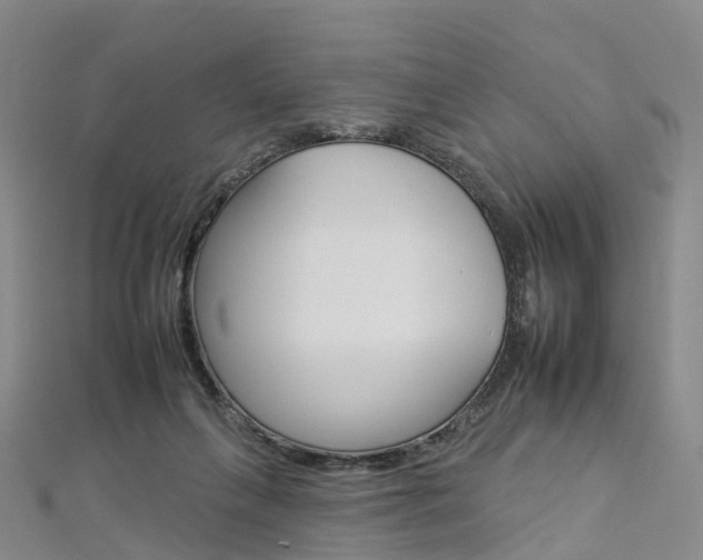 X0000112930263200908241101