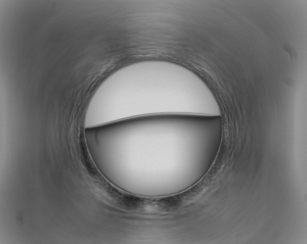 X0000112930264200908241101