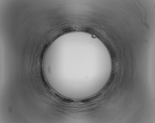 X0000112930266200908241101