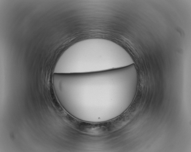 X0000112930267200908241101