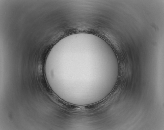 X0000112930269200908241101