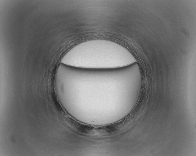X0000112930270200908241101
