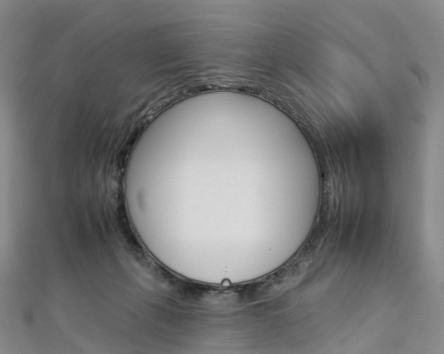 X0000112930271200908241101