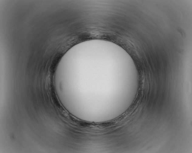 X0000112930275200908241101
