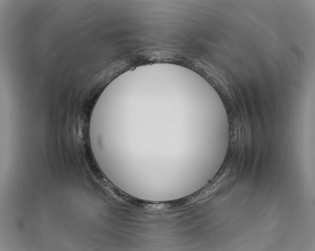 X0000112930281200908241101