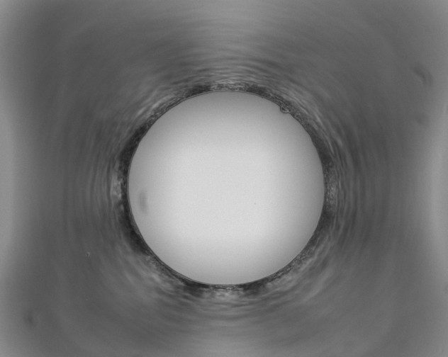 X0000112930282200908241101