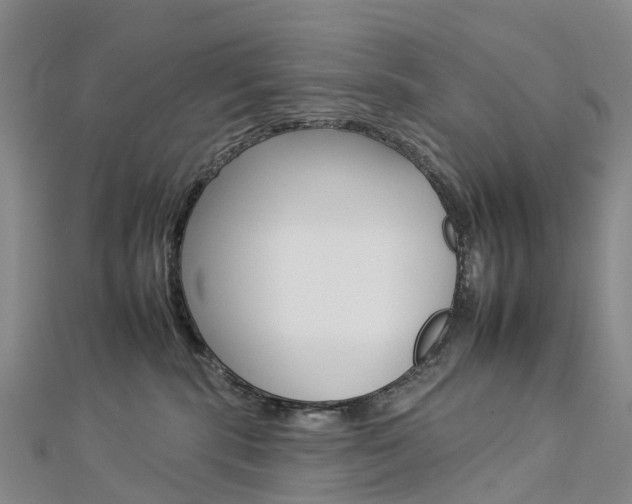 X0000112930283200908241101