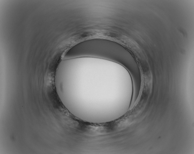 X0000112930284200908241101