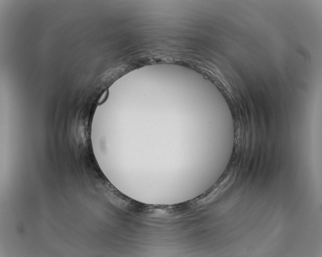 X0000112930285200908241101