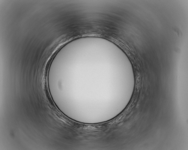 X0000112930290200908241100