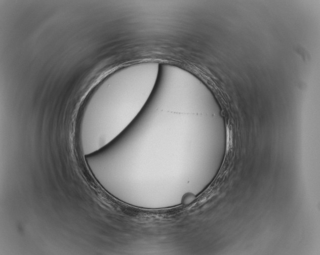 X0000112930291200908241100