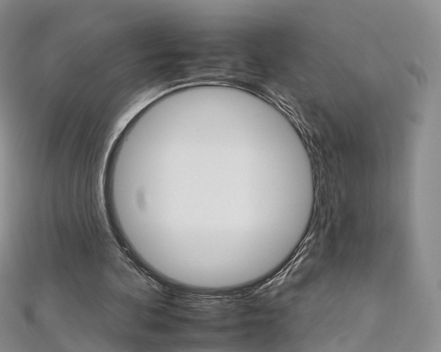 X0000112930292200908241100