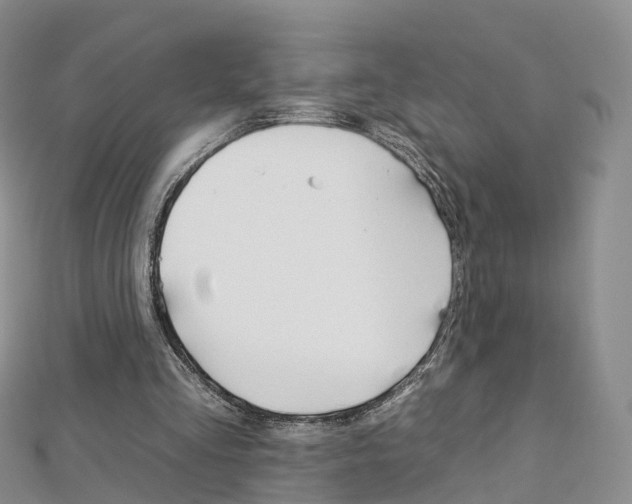 X0000112930293200908241100