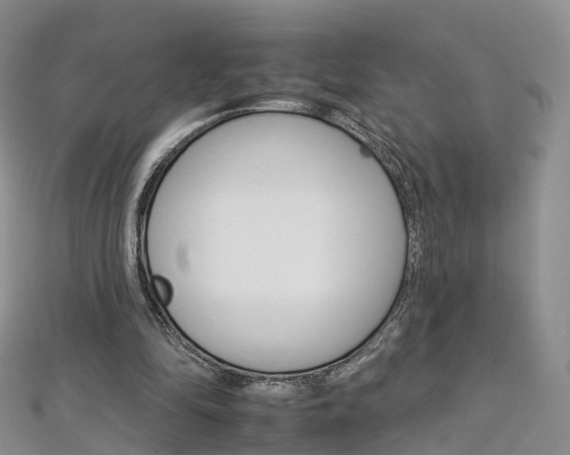 X0000112930294200908241100