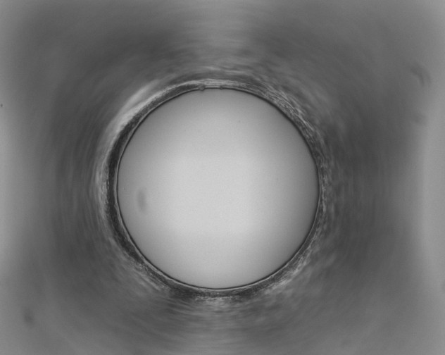 X0000112930295200908241100