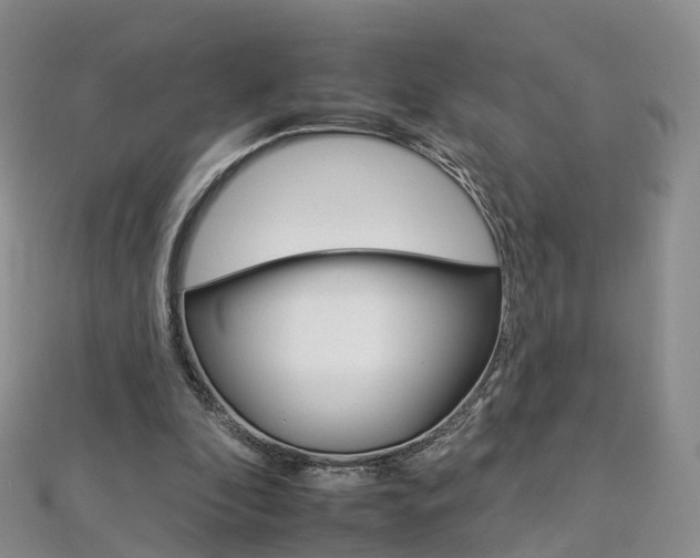 X0000112930296200908241100