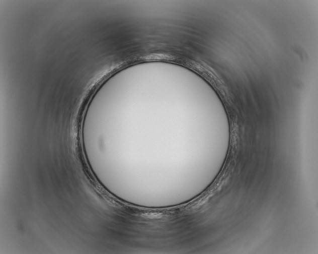 X0000112930298200908241100