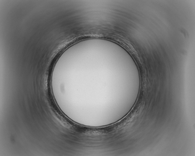 X0000112930299200908241100