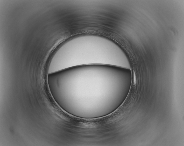 X0000112930300200908241100