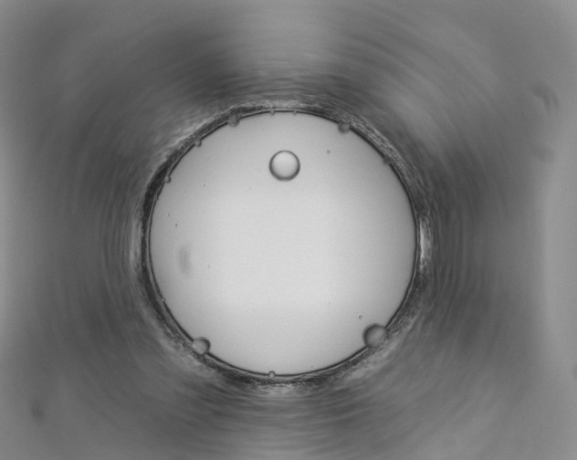 X0000112930301200908241100