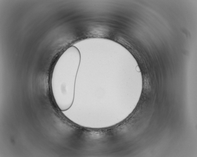 X0000112930302200908241100