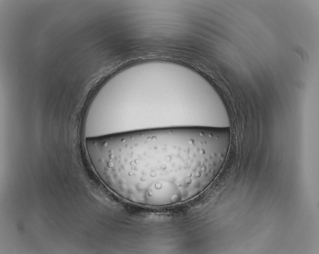 X0000112930303200908241100