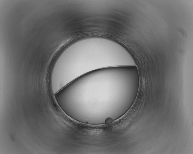 X0000112930304200908241100