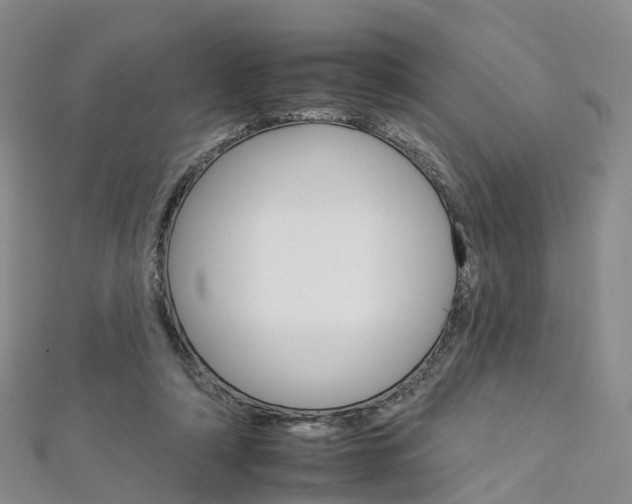 X0000112930306200908241100