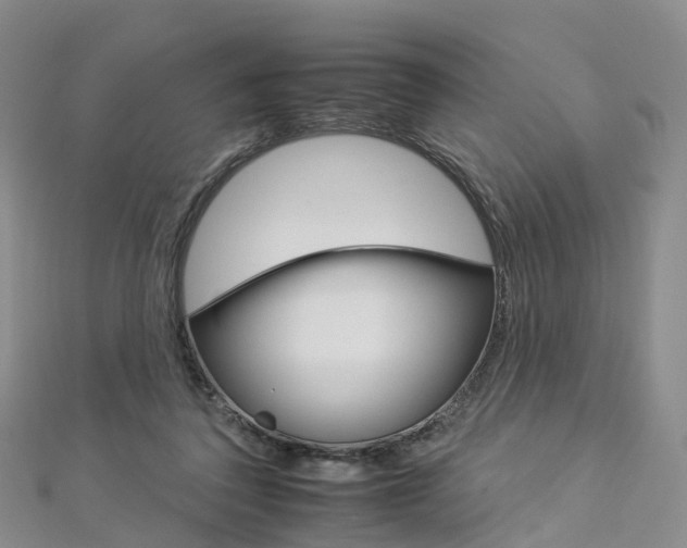 X0000112930308200908241100
