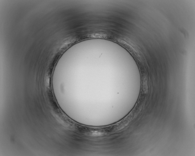 X0000112930310200908241100
