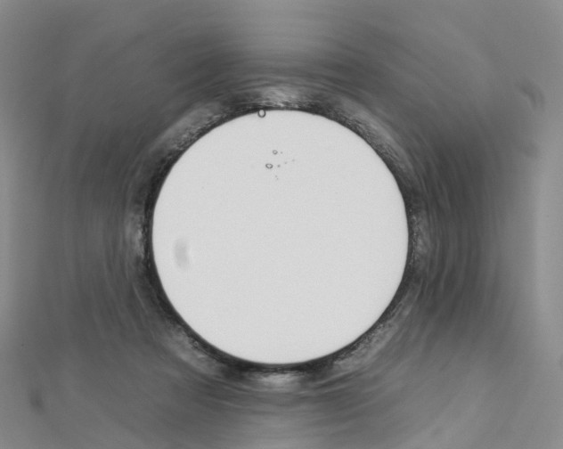 X0000112930313200908241100