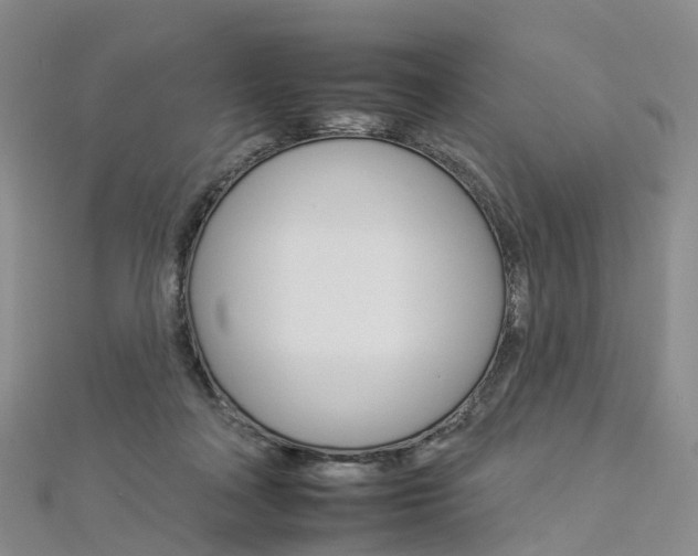X0000112930314200908241100